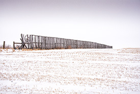 DSC_2759-1000-Windbreak
