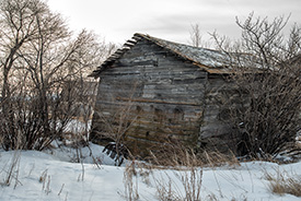 DSC_3057-1072-DorthyShed
