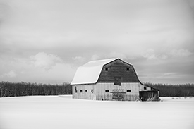 DSC_3870-1000-Blanket-of-Snow