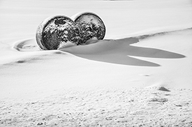 DSC_3887-Shadows
