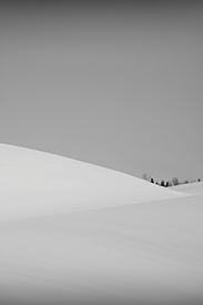 DSC_3928-700-Snowlines