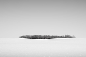 DSC_4001-1000-PrairieSilence-FNLjpg