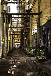 DSC_9156-72-850