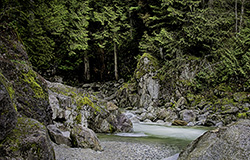 DSC_5980_1272-CascadeCreek