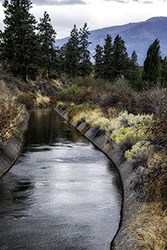 DSC_7735-550-OliverIrrigationCanal