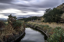 DSC_7793-575-OliverCanals