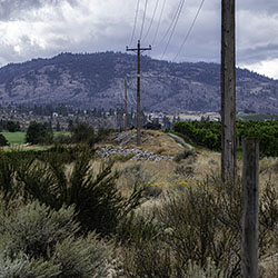 DSC_7961-850SQ-OliverDrylands