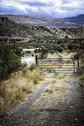 DSC_7966-oliverdrylands