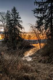 DSC_3091-650-AlouetteMorning
