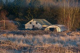 DSC_3106-650-AloutteTrees