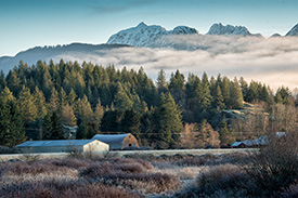 DSC_3121-1000-AlouetteFarm