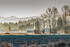 DSC_3127-1000-PitMeadowsFarm