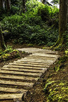 DSC_9036-567-ChinaBeachTrail