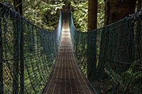 DSC_9103-1000-MysticBeachBridge