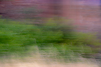 Roussillon