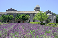 St Paul Mausople