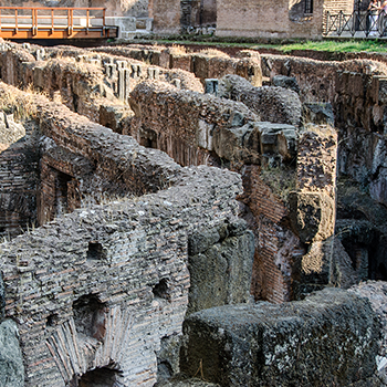 DSC_0658-700-rome-colosseum