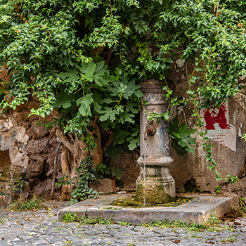 DSC_5161-850SQ-RionePonte