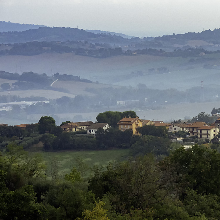 Marche Region
