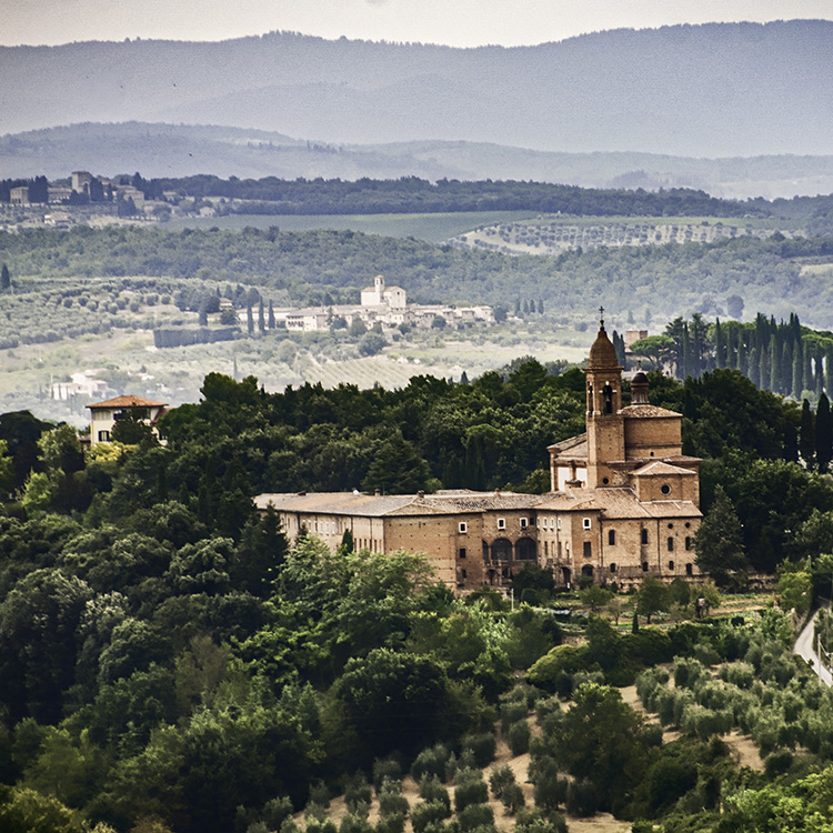 Italy - Tuscany - Siena Landscapes = mytravellinglens.com