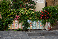 DSC_7250-1000-Montefalco